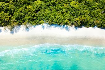 lush green rainforest, white sandy beach and emerald blue waves.
