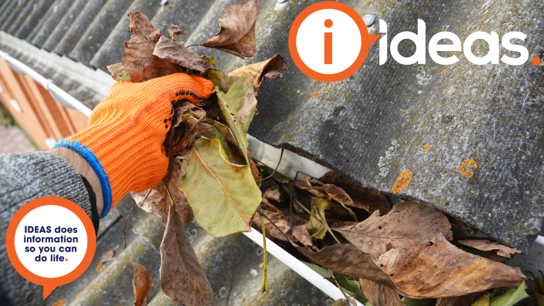 Cleaning a rain gutter of dry leaves