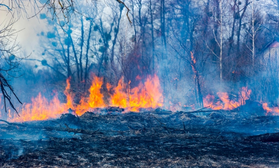 Image of a bushfire with a building in the background