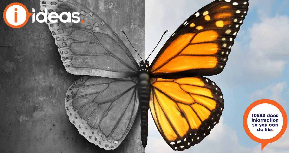 Image is a butterfly. One side of the image is dark, the other is bursting with colour. Concept photo of mental health.