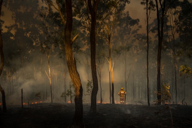 loan firefighter observes damage picture