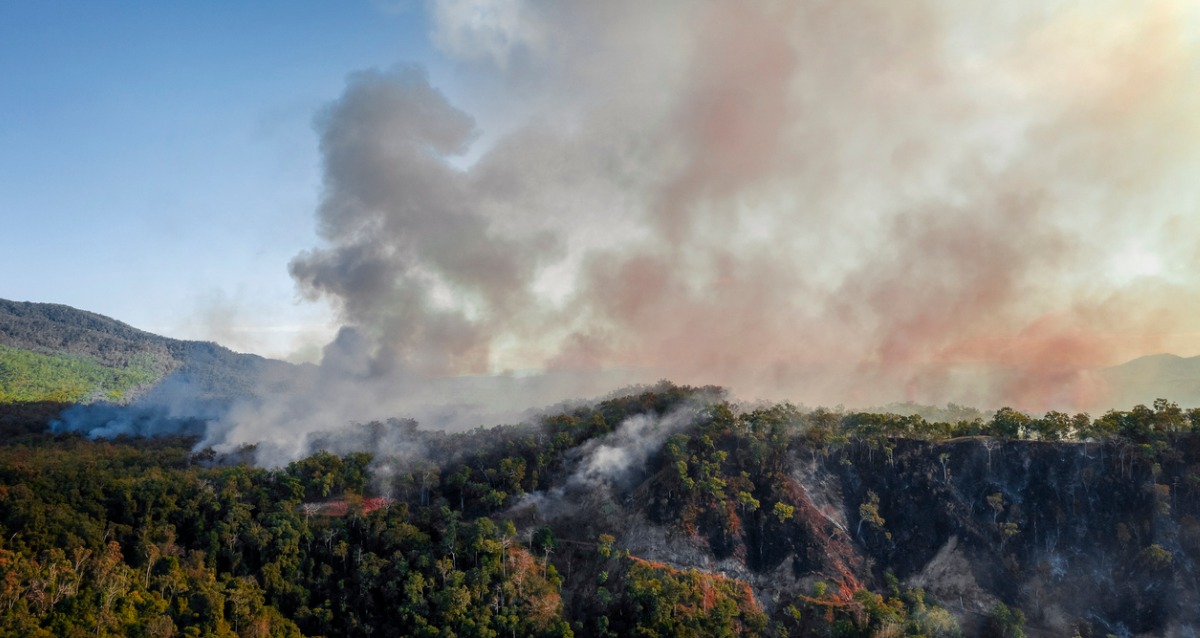 Smoke billows over a dry grassy hill