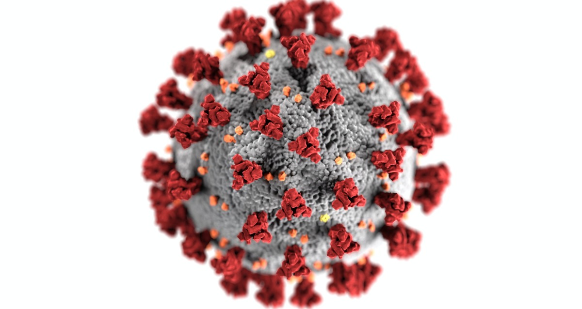 SARS-CoV 2 coronavirus spores