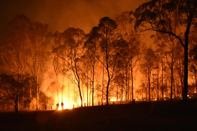 silhouettes of two figures and tress in a fire storm