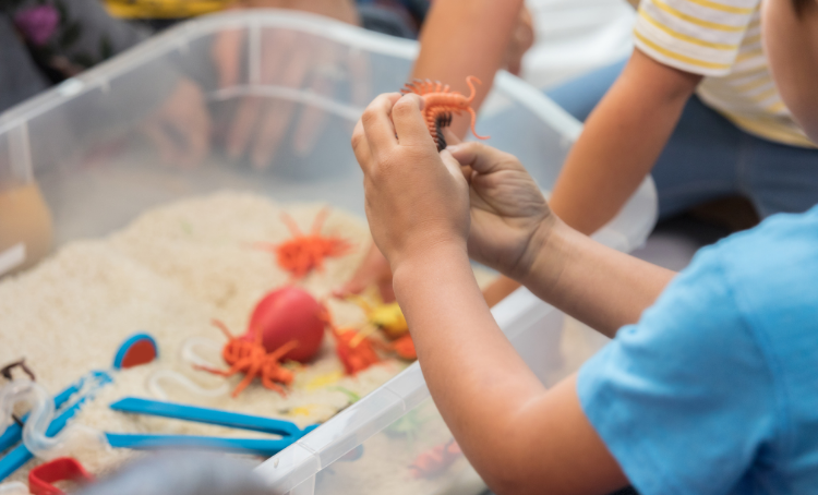 A child plays with plastic insects.  A sensory bucket is in front of him.