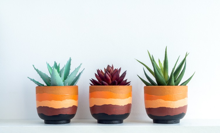 terracotta pot on white wooden shelf for cactus and succulent plants picture