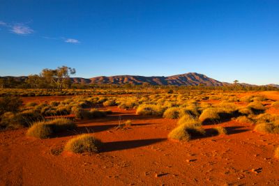 Australian outback with red dirt, shrubs, blue sky and a mountain range in the distance.