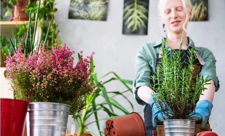 young albino woman gardening