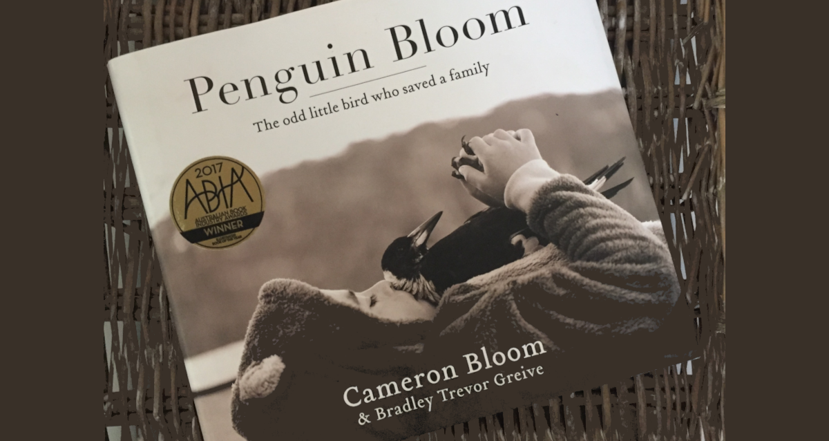 A image of the Book Penguin Bloom. The cover is in black and white. A young boy layin gon his back ina furry suit. HE hold on his chest a magpie who is grasping his hands with her claws.