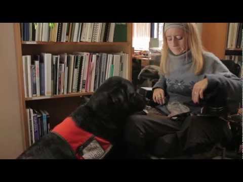 Lady in wheelchair with a guide dog helping her