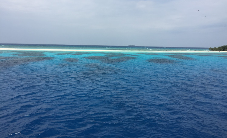 The view from the boat.