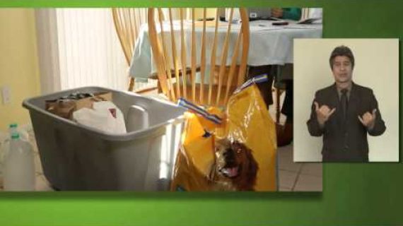 Picture of bag of dog food and a kitchen table