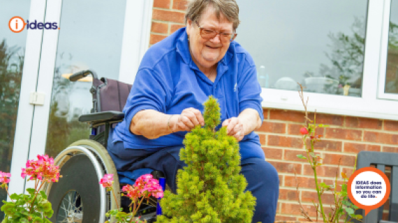 Image of a an elderly wheelchair user tending to their plants