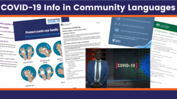 COVID19 Info in Community Languages. Picture is a collage of fact sheets in different languages and scripts.  There are pictures of handwashing and a person presenting on TV.
