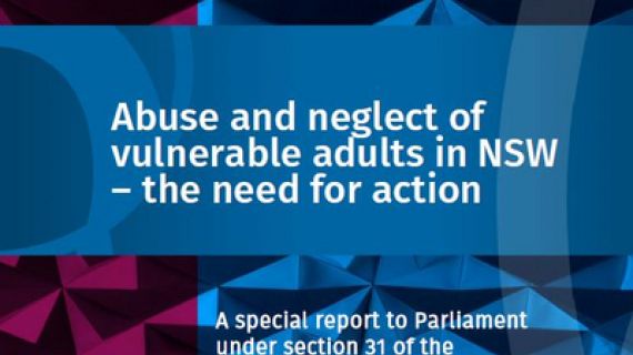 Maroon and blue pattern booklet