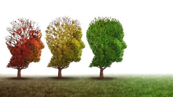 Red, Yellow and green trees in the shape of heads.