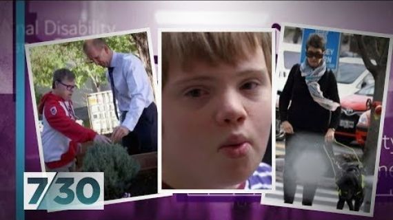 Picture of three pictures being displayed one with a lady with a guide dog walking down the street one with a young boy and one with a boy and a man looking at a plant
