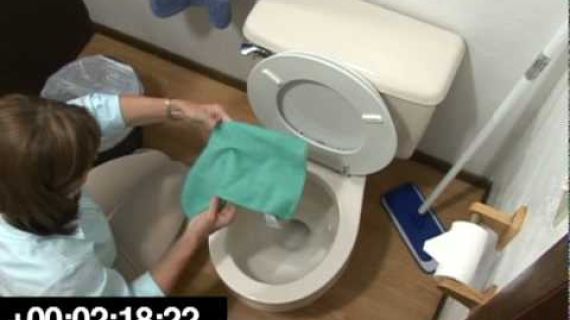 Lady cleaning a toilet