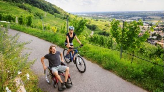 Image of bike rider and wheelchair user rolling down the road