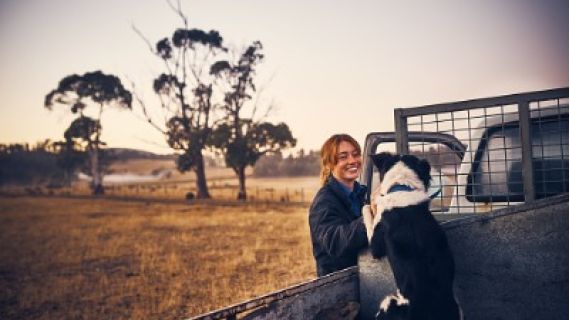 Image of women petting a working dog on the tray of a ute