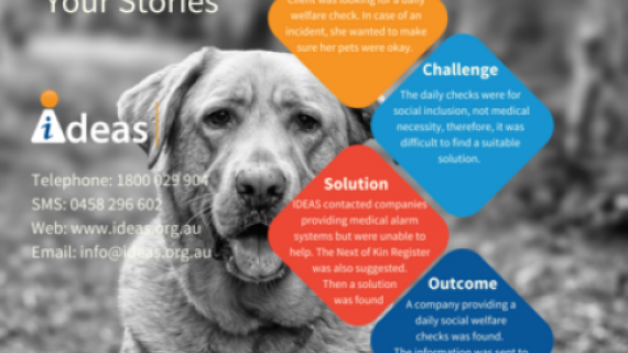 Picture of a dog sitting in black and white