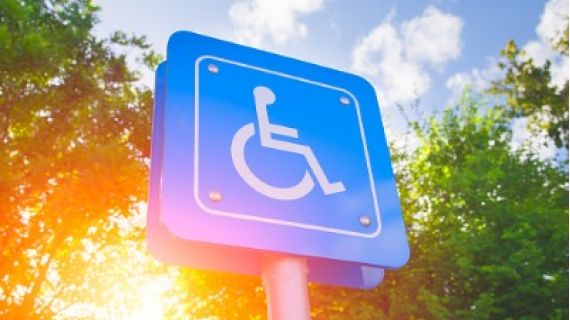 Sum shining through trees with a disabled parking sign