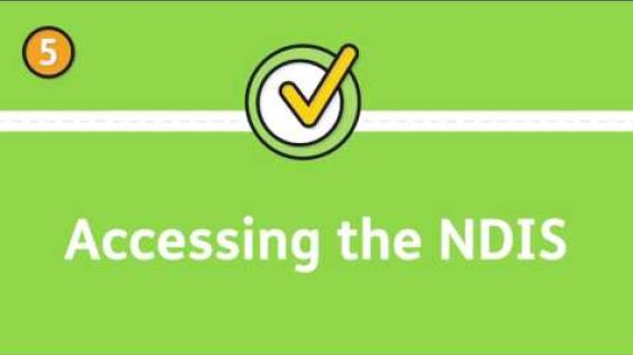 Assessing the NDIS on a green background
