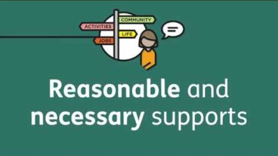 Reasonable and necessary supports written across a green screen