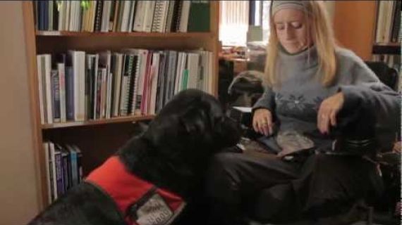 Lady in wheelchair with a guide dog helping her