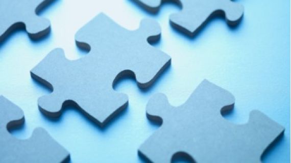 pieces of a jigsaw puzzle