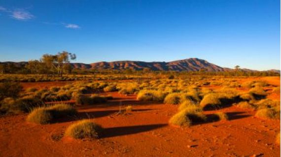 Australian outback with red dirt, shrubs, blue sky and a mountain range in the distance.