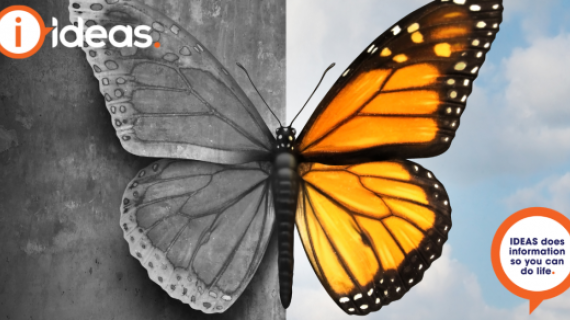 Image is a butterfly. One side of the image is dark, the other is bursting with colour. Concept photo of mental health.